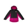 The North Face Kids Freedom Insulated Jacket (Little Kids/Big Kids)