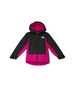 The North Face Kids Freedom Insulated Jacket (Little Kids/Big Kids)