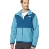 The North Face Denali 2 Jacket -Madewell Shop 71oEtfSq YL