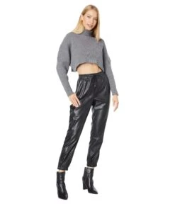 Bishop + Young Highline Turtleneck Sweater -Madewell Shop 71p95Z0ZNL