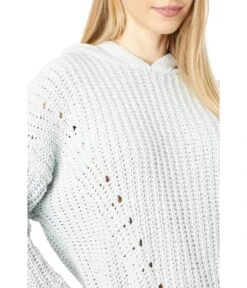 Lucky Brand Chenille Hoodie -Madewell Shop 81MsSqc3bcL