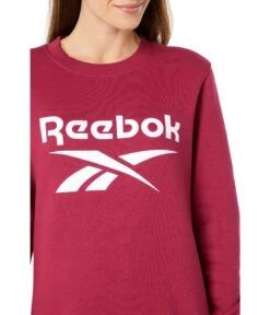 Reebok Identity Big Logo Fleece Crew -Madewell Shop 81d9pKULZvS