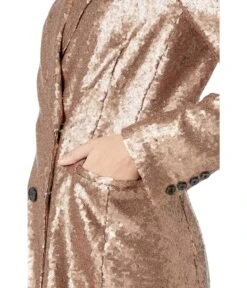 BCBGMAXAZRIA Sequin Blazer -Madewell Shop 916giQ8XysL